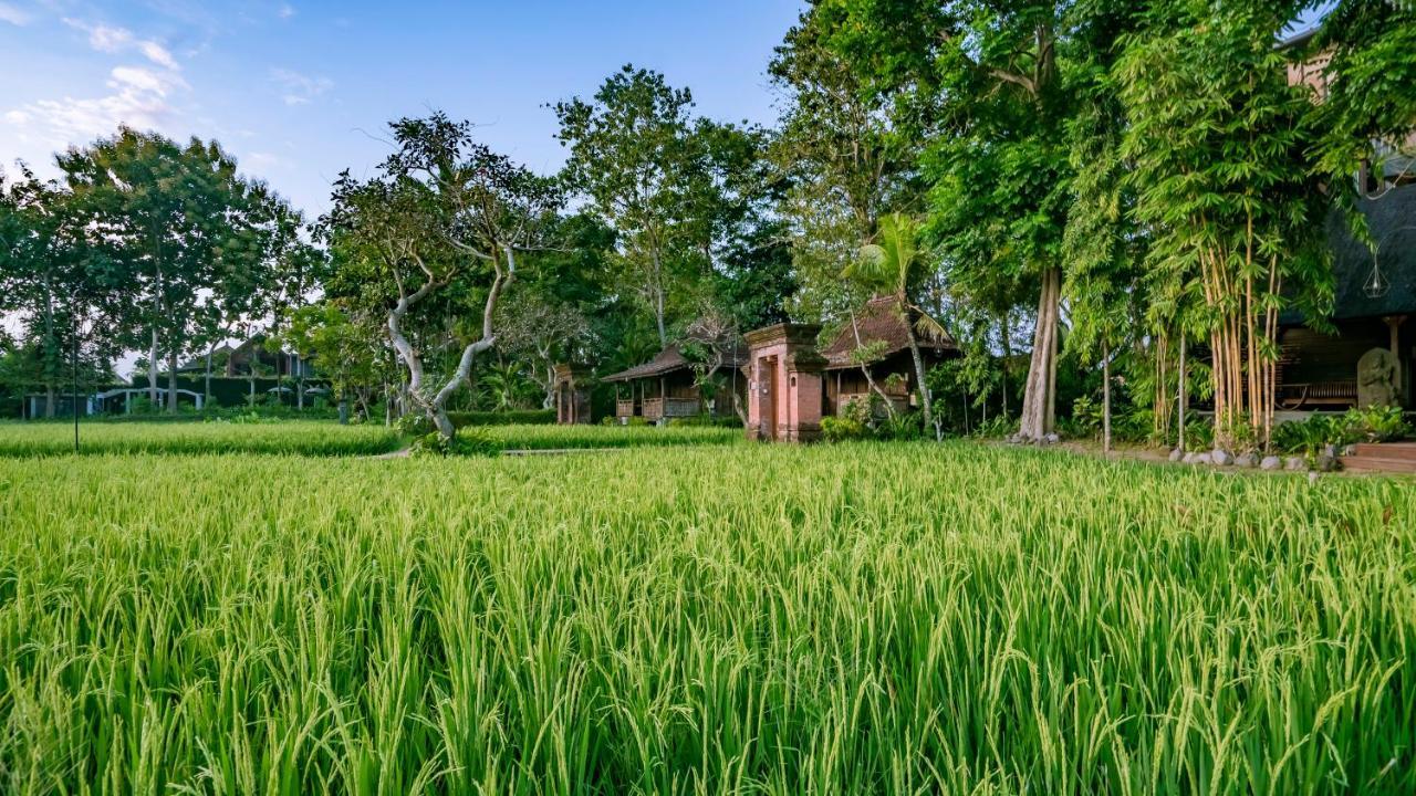 KajaNe Yangloni at Ubud  Bagian luar foto