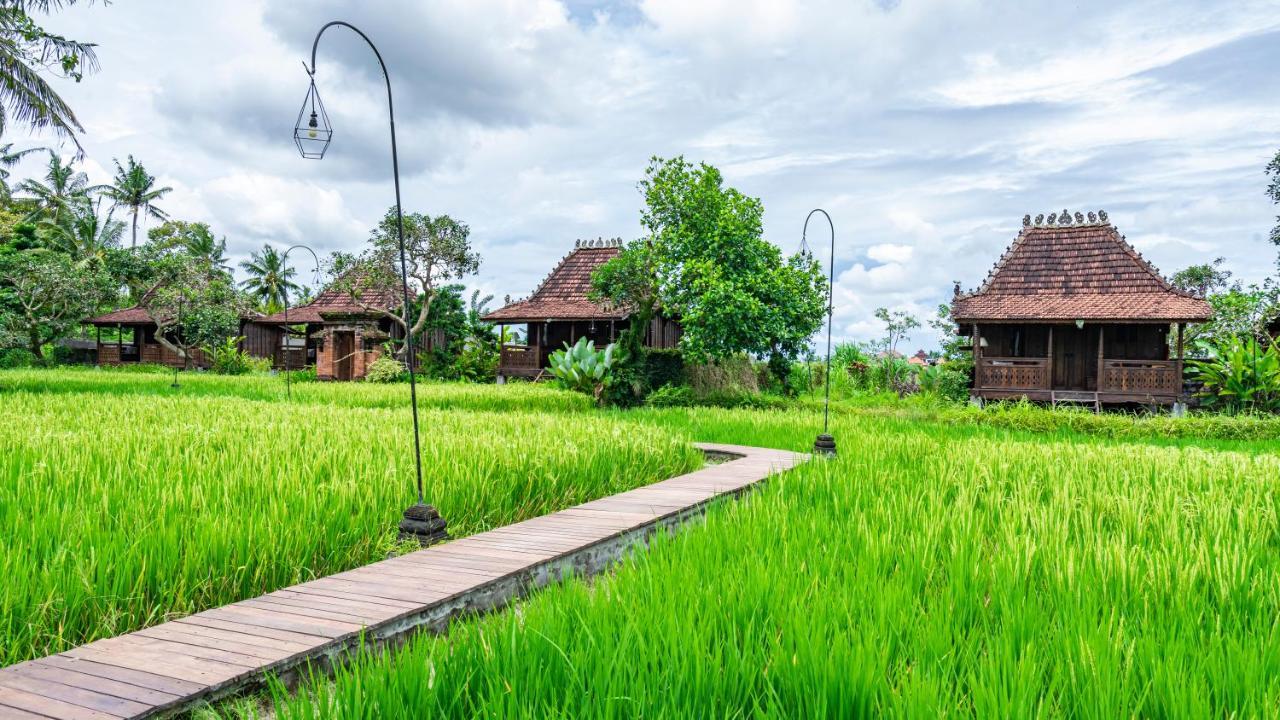 KajaNe Yangloni at Ubud  Bagian luar foto